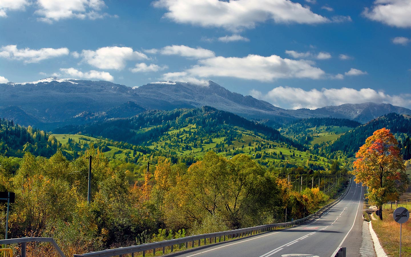 BUCOVINA - ŢARA FAGILOR